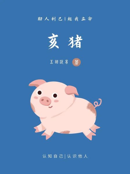 亥猪生肖属相（亥猪生肖属相五行属什么）