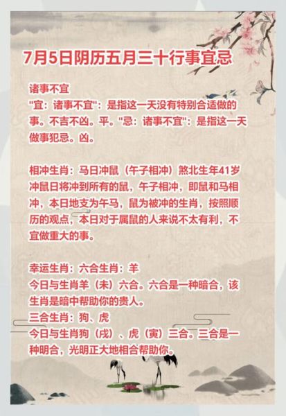 生肖鼠属相阴阳（鼠五行属阴还是属阳）