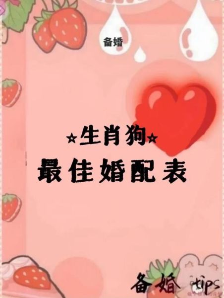 生肖狗最爱的人属相（狗宝宝最配什么属相爱得深）