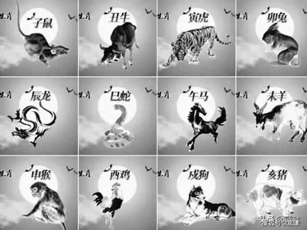 12生肖属相图（12生肖属相图怎么看最直观）