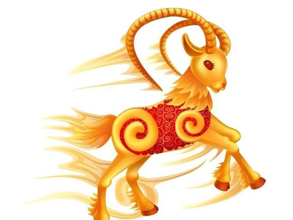 生肖属相装饰图片（生肖属相装饰图片大全）