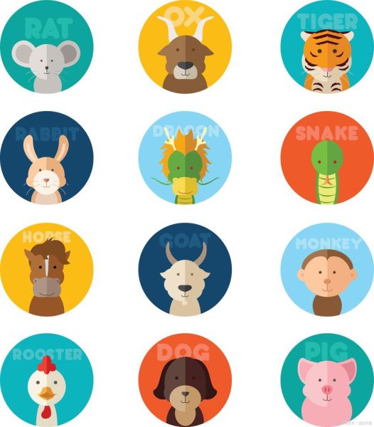 6的生肖属相（6的属相是什么？🐭）