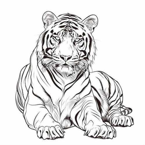 寅虎生肖禁忌什么属相（寅虎最忌什么生肖？一文看懂👀）