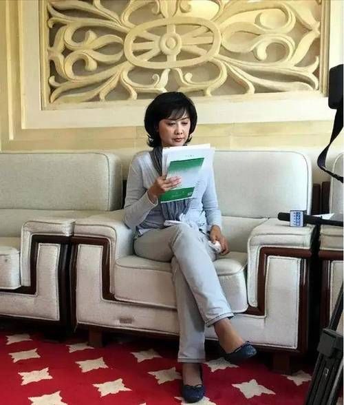 朱琳的属相是什么生肖（朱琳属什么生肖？小白也能秒的查询法）