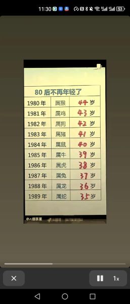 猪的生肖属相（猪的生肖年份对照表）