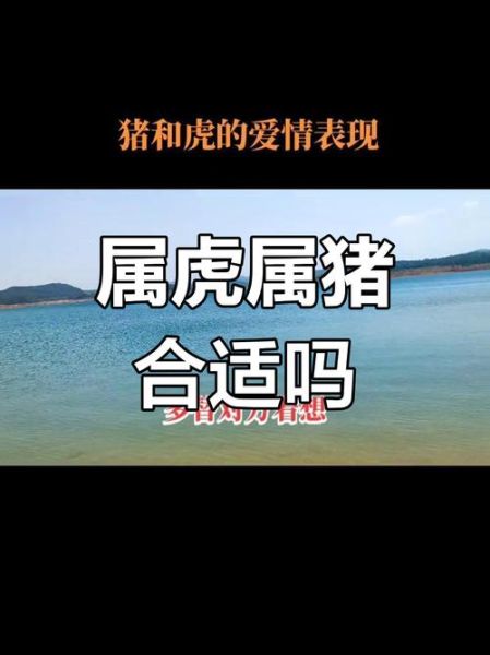 生肖猪的伴侣属相虎（生肖猪的伴侣属相虎合不合）