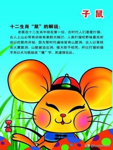 96年属相什么生肖（96年属相到底是啥生肖）