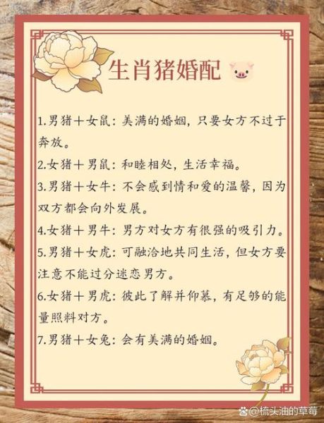 生肖男猪属相婚姻配对（属猪男最佳配偶属相排名）