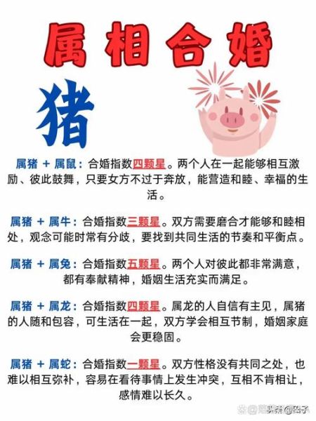 生肖属猪的属相（生肖属猪的幸运属相配对指南）