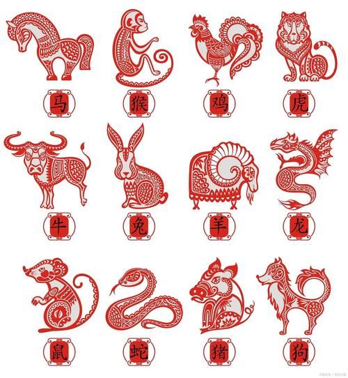 只生肖有几个属相（只生肖有几个属相？一文秒懂 🐾）