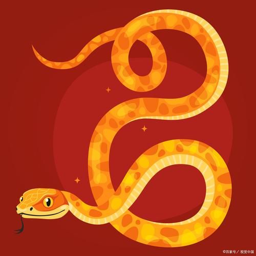 蛇生肖属相（蛇年属什么生肖？小白也能秒懂）