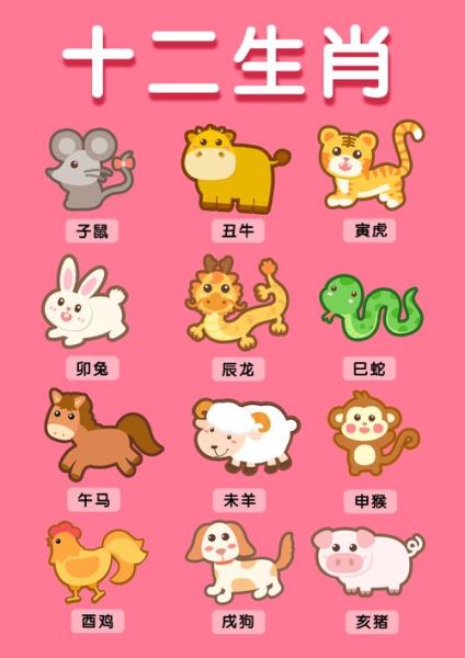 生肖动物有几个属相（🤔生肖动物有几个属相？快速入门版）