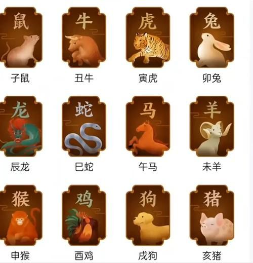 2002年属相什么生肖（2002年属什么生肖？新手三分钟看懂）