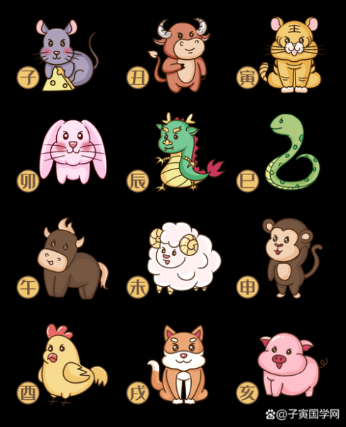 花轮同学生肖属相(花轮同学生肖是什么?属兔还是属龙✨)