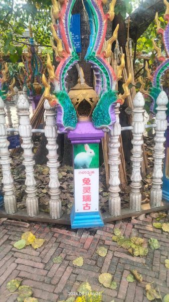 傣族属相有哪些生肖（傣族属相和生肖对照表是什么）