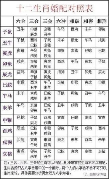 今年29属什么生肖属相（今年29岁属什么生肖，三分钟看懂）