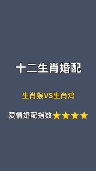 属相鸡和什么生肖合婚（属相鸡和什么生肖合婚最旺）