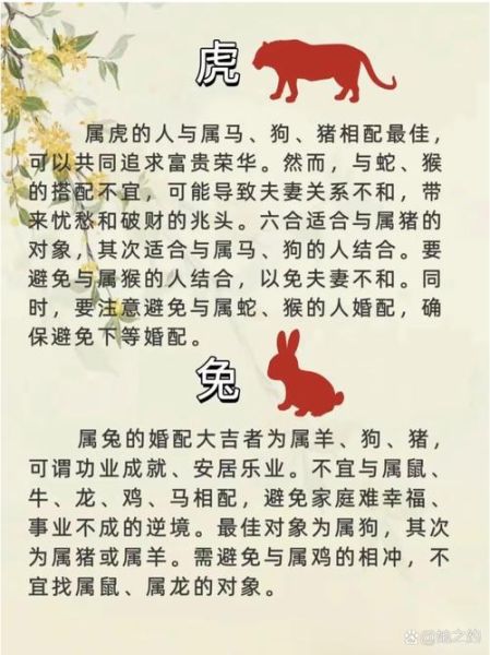 生肖男的媳妇生肖属相（生肖男的媳妇生肖属相配对指南）