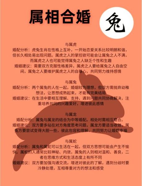 属相兔和生肖鸡（兔和鸡合不合？真实合婚报告来了）