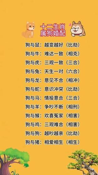 生肖狗最佳配对属相（生肖狗最佳配对属相是什么🐶）