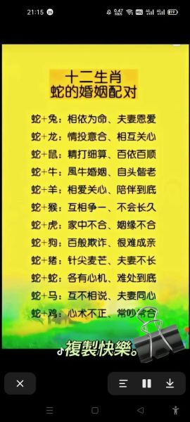 生肖与属相配表（生肖龙和猴到底配不配😳）