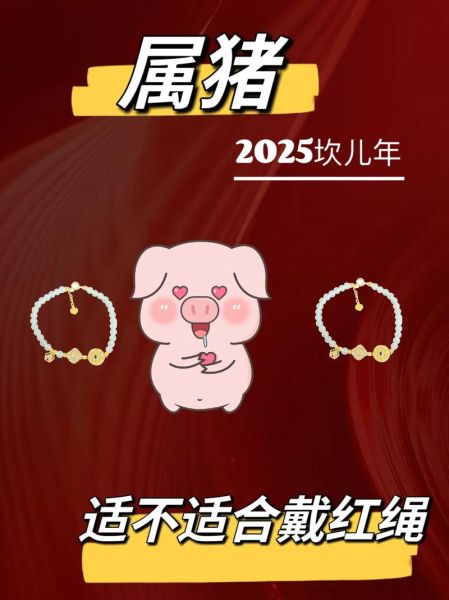 生肖猪适合佩戴什么属相（生肖猪佩戴什么属相最旺？小白选配饰指南）