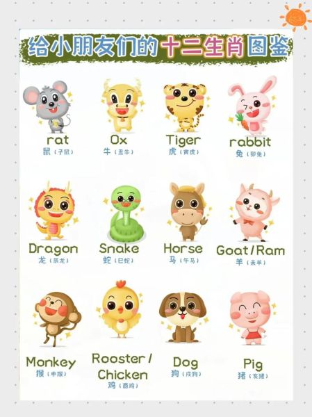 生肖属相来历英文视频（生肖属相来历英文讲解视频）