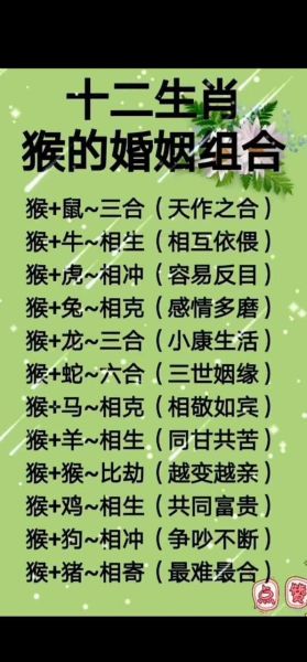 哪些生肖同属相好（同属相的两个人合不合）