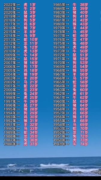 生肖属相街头采访（街头采访十二生肖怎么看懂年龄规律）