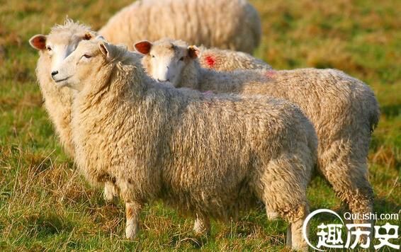 慈禧属相是啥生肖