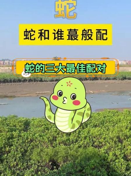 生肖蛇喜欢哪个属相男孩（生肖蛇女最想嫁哪个生肖男）