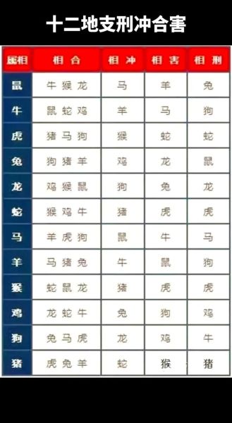 地支与对应的生肖属相（十二生肖对应的地支有哪些？）