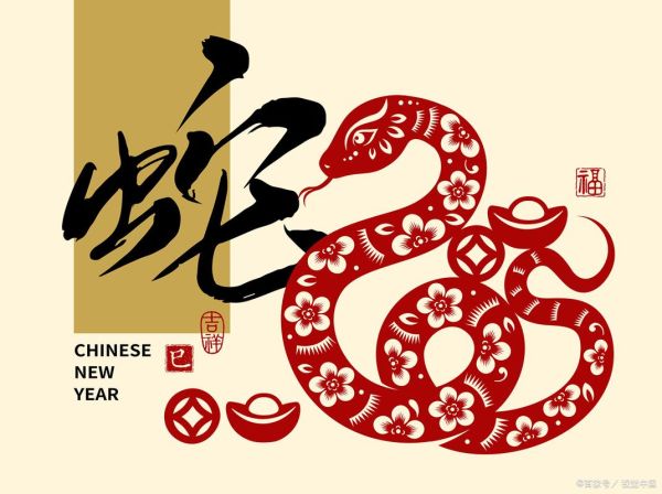 巳是什么生肖属相呢（巳是什么生肖属相？新人秒懂）