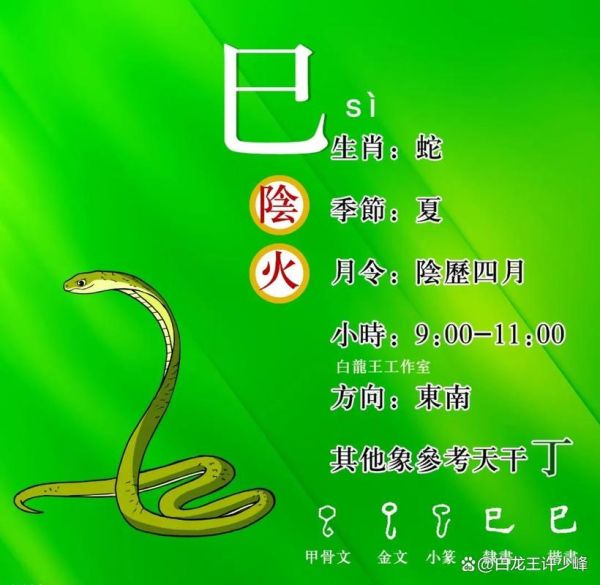 十二生肖火属相（十二生肖火属相是什么）