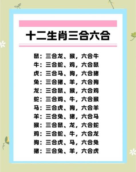 六合生肖属相（六合生肖属相姻缘表查询）