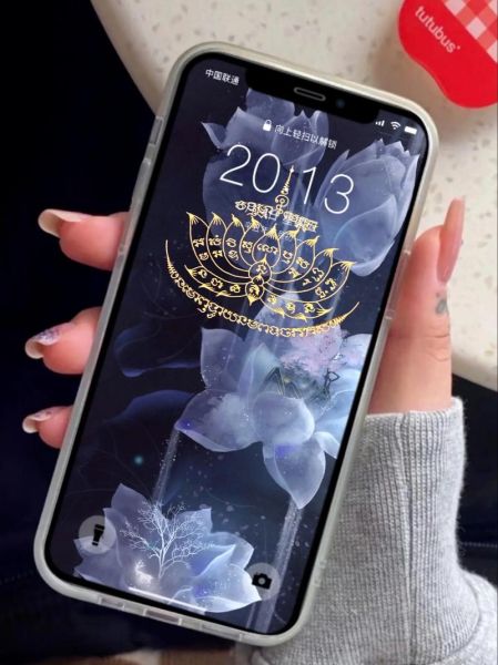 生肖猴的保护属相（生肖猴本命年护身属相大揭秘）