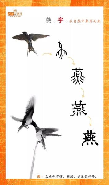 燕子属于什么生肖属相呢(燕子属于什么生肖属相)