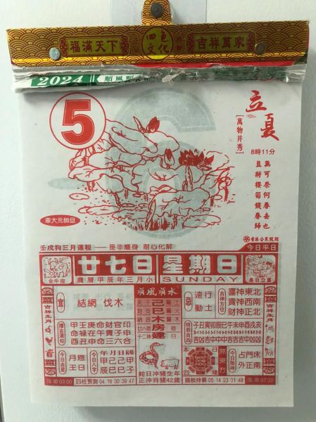 立夏属相生肖（2024年立夏属相生肖查询表）