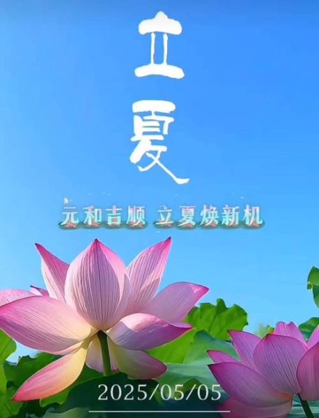 立夏属相生肖（2024年立夏属相生肖查询表）
