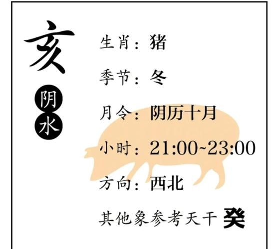 生肖属相猪特点（生肖属猪的性格特点详解）