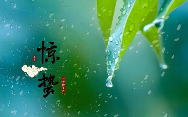 惊蛰属相是什么生肖（惊蛰属相是什么生肖？新手一看就会！）