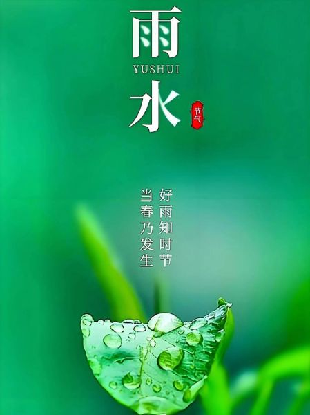 雨水节气生肖有哪些属相（雨水生肖有哪些属相？2025最新版速查手册）