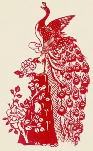 王卉什么生肖属相(王卉属什么生肖?一文看懂)