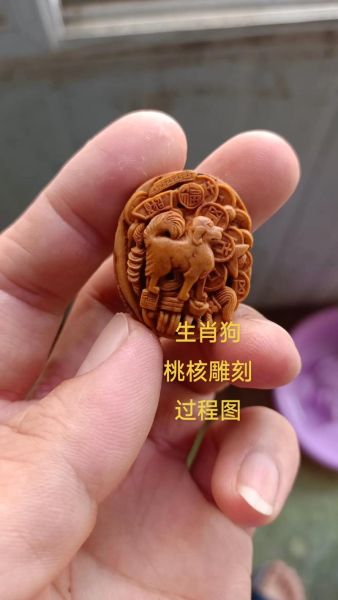 属相狗上面是啥生肖(属相狗前面是什么生肖?新手必看)