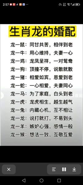 女龙最佳生肖配对属相（女龙和什么属相最配婚姻男）