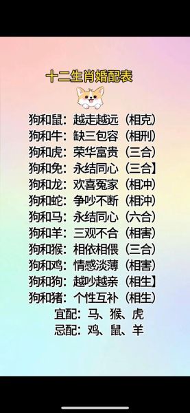 男女婚配生肖属相（男女婚配生肖属相匹配表）