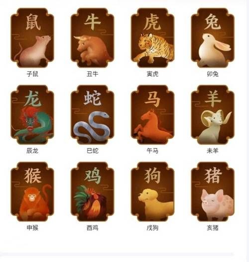 生肖怎么精确更换的属相(生肖什么时候更换最准确)