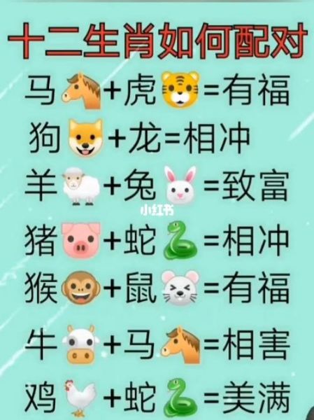 马生肖的配偶属相(马生肖的配偶属相最佳配对)