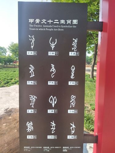 纣王属相是什么生肖(纣王属相是什么生肖?小白一图看懂)