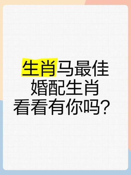 生肖马的配对最佳属相（生肖马最佳配对属相解析）